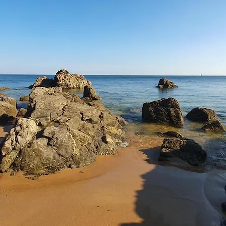 Salamandre - Maison Bois Cosy Calme Avec Parking Pour 4 A 10 Pers Ideal Couples Et Familles A 500m De La A Saint-marc-sur-mer Vakantiehuis *